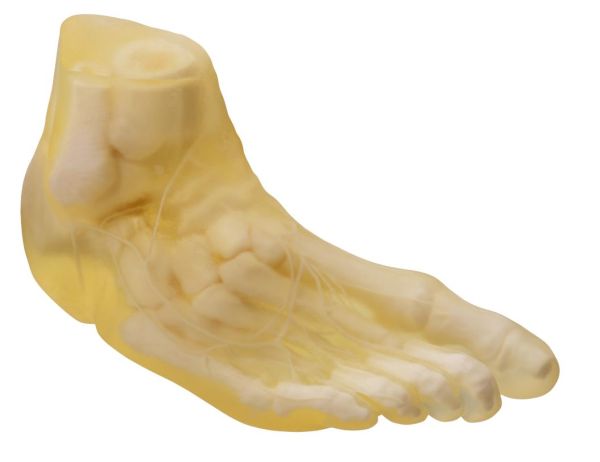 Stratasys J850 Digital Anatomy 3D-Drucksystem