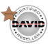 David Vision Systems GmbH